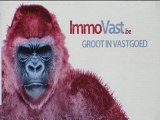 Immovast.be Immo Immobilien in Belgie