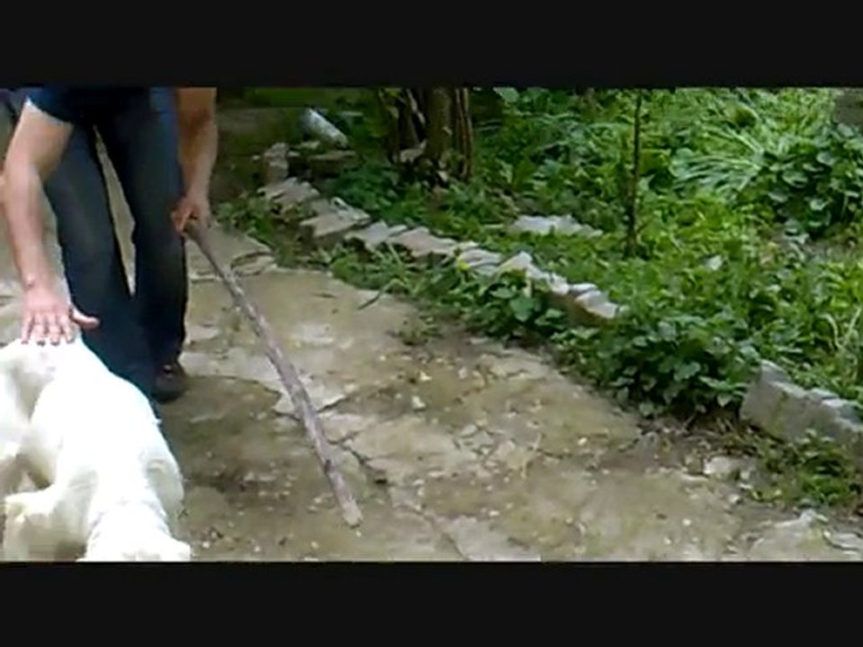 LİNDA'nın FERMALARI