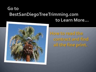 Best San Diego Tree Trimming