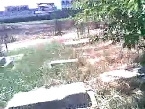 İstanbul, İzmir, Ayvalık, Çeşme, Foça, Kuşadası, Selçuk, Efes, Bergama İngilizce-Norvecce Profesyonel Kokartlı Turist Rehberi, Sinan Tortum Diyarbakir Hiristiyan Mezarlığı /// Diyarbakir Christian Cem