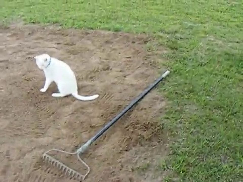 Garden preparation