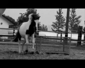 We can't forget them...