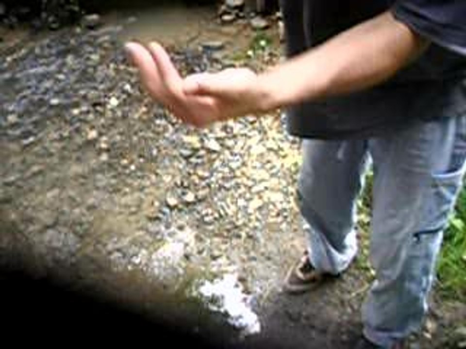 IMGP6188