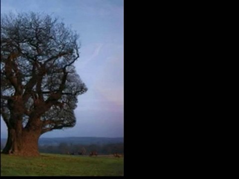 Herşey sende gizli-Bir Can Yücel şiiri