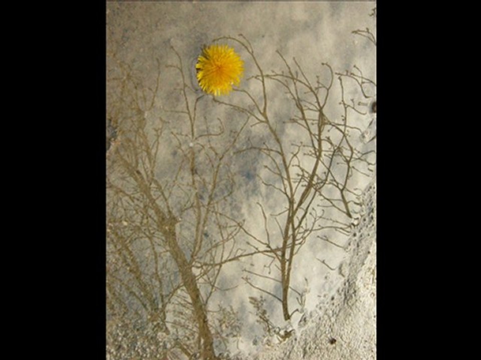 sus nurettin rençber