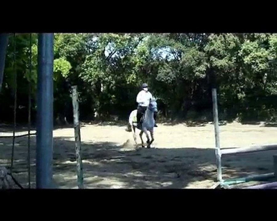 Reprise du 16 mai 2010