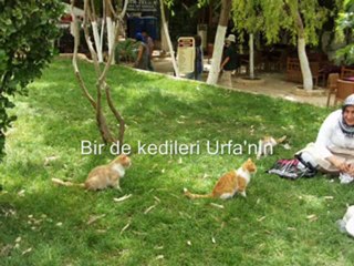 Mardin'den Urfa'ya - Güneydoğu Gezisi  2010