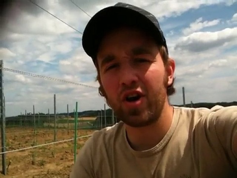 Herrenhof Episode #8 - Viva la field blends