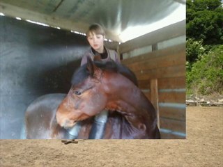 mais chevaux