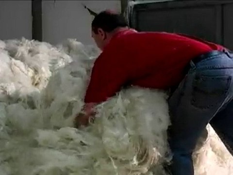 MDFF - sous titré anglais