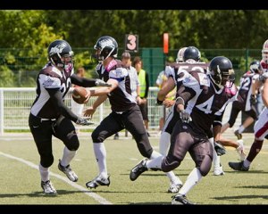 Photos des ours de Toulouse