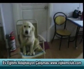 Ev Eğitimi Adaptasyon Çalışması