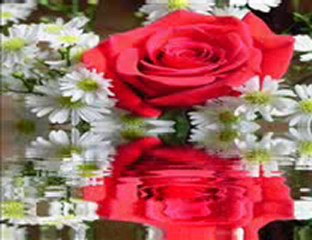 Enstrumental - Madam Despina (Yine mi Cicek)