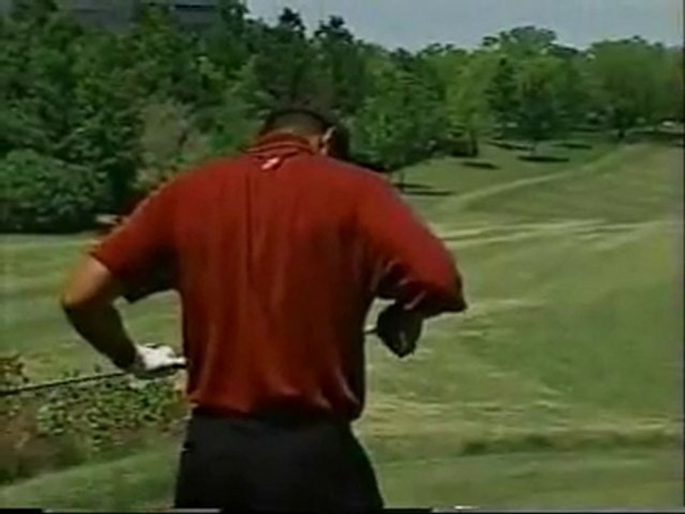 Tiger Woods Stop