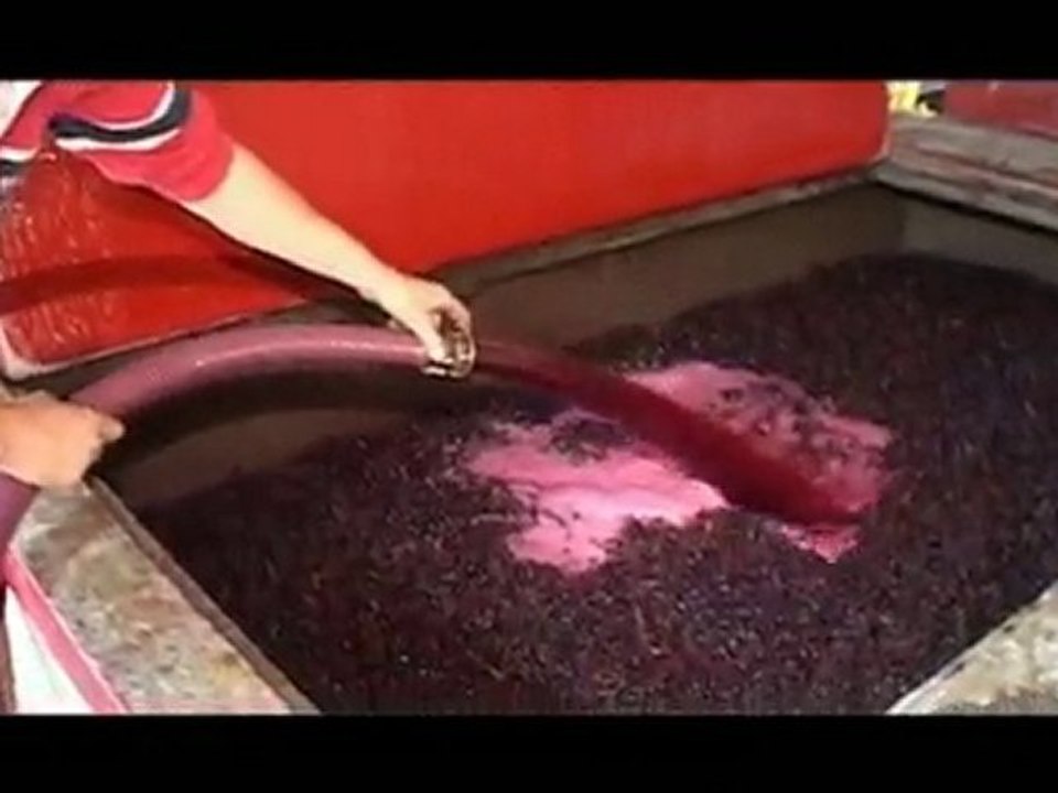 Domaine des Riottes