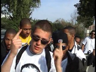 Freestyle TDS  & CBA