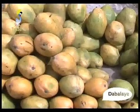 DABALAYE FRANCAIS DU 20/05/2010 PAR TCHADONLINE.TV