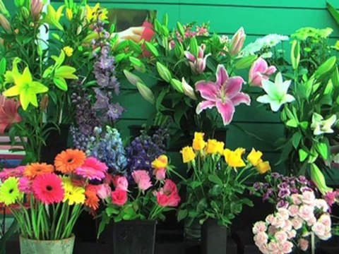 Florists Erindale Kensington Florist