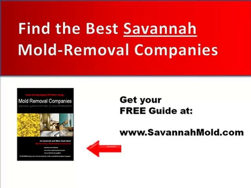 Mold Remediation Contractors Savannah -Free Guide to Top Ex