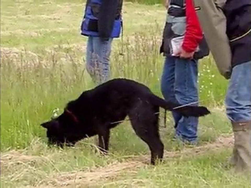 echo des collines du temps : piste du 15 mai 2010