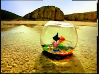 Nurettin Rençber Ezo