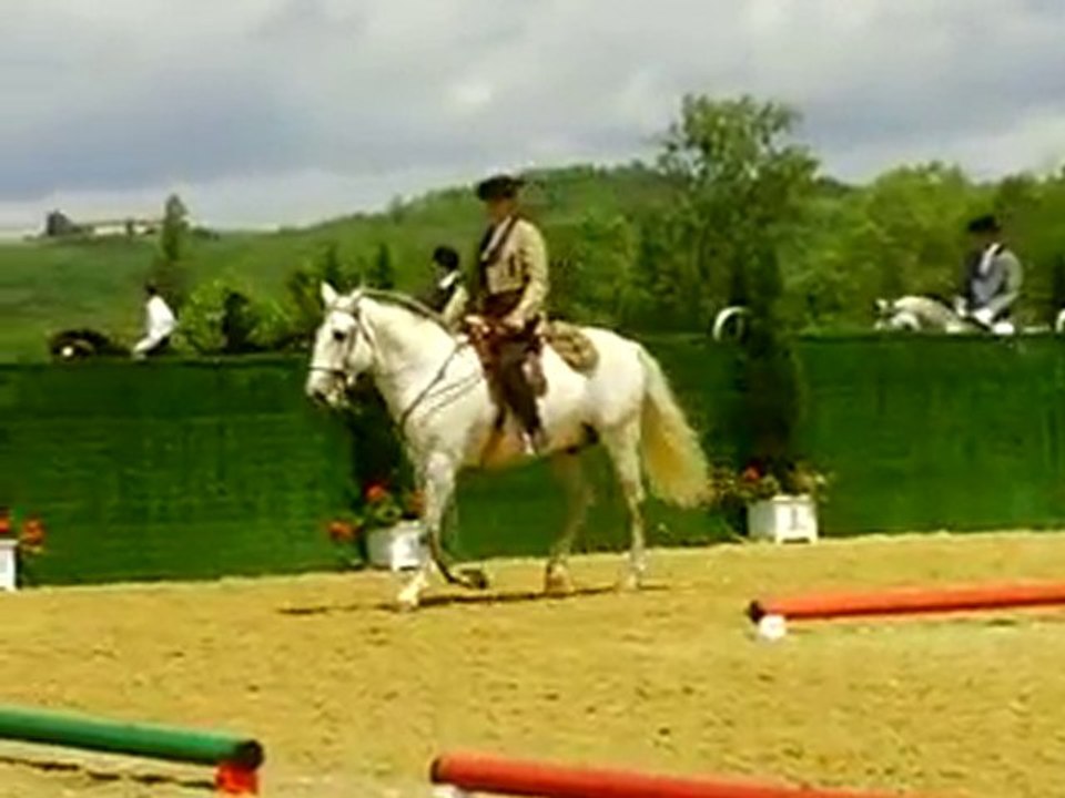 M&A lusitaniens : Boulogne sur Gesse (1)