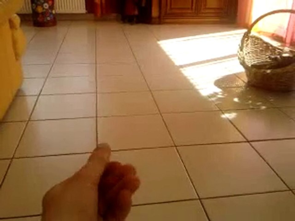 Vidéo0151