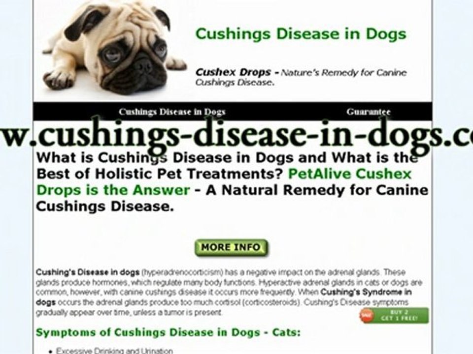 cushex for dogs