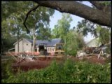 Tree Root Construction Protection Charleston SC Tree Service