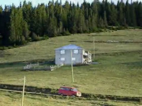 Doğankent,kürtün,ÇIKRIK DÜZÜ YAYLASI