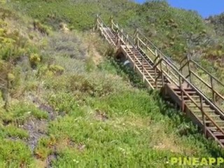 Point Dume in Malibu, CA
