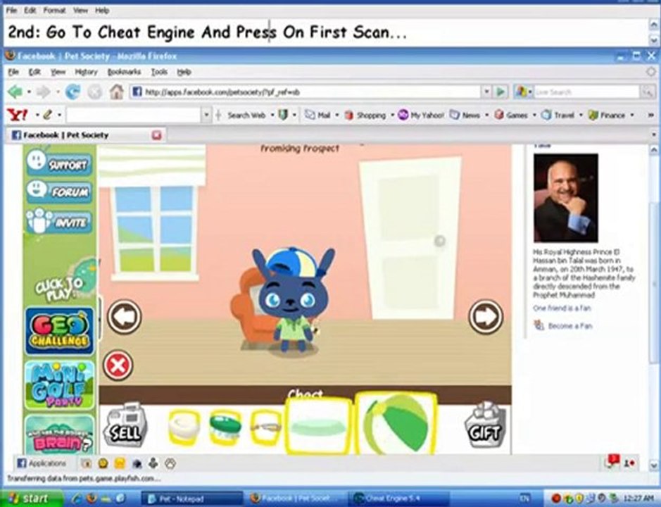 How To Hack Pet Society For Money 28/1/2009