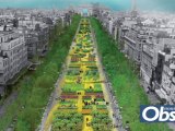 Les Champs Elysées en vert