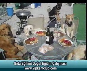 Gıda Eğitimi Doğal Eğitim Çalışması