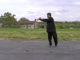 3° duan-3°part-Yangjia Michuan Taiji Quan