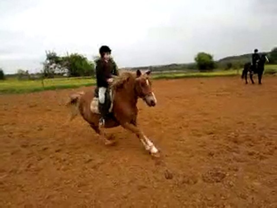 Virginie &' Ficus =D