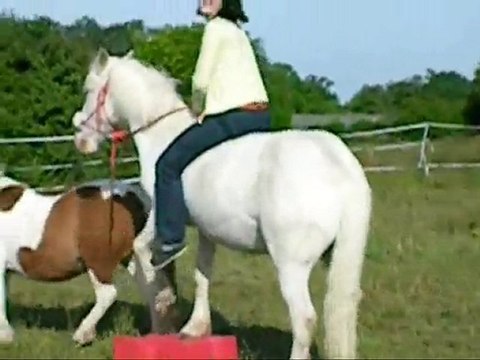 toupie tonerre & uskina