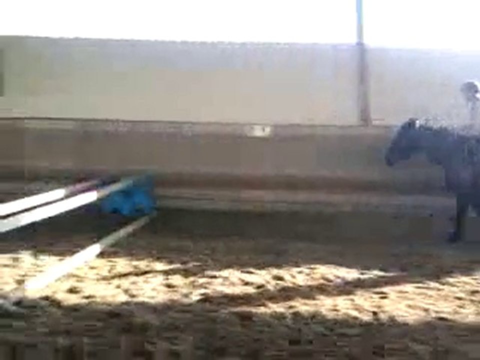 Vidéo0026