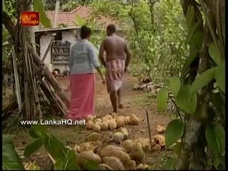 Paba 21 05 2010 - 564 Part 1 flowerbest