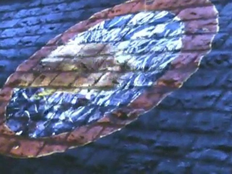 2008 LYON fete lumieres