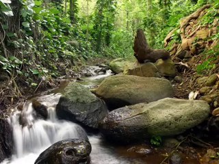 (Bugün Doğum Günüm) Otuz Yaşındayım   (ibrahim kaya)