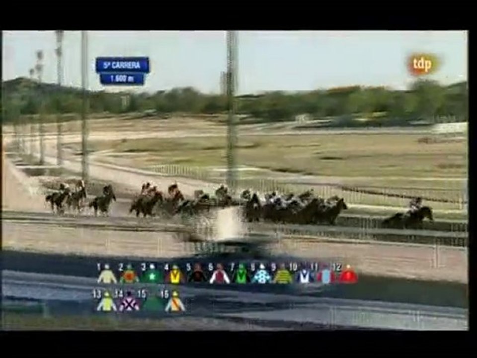 2010.05.21, n° 163 LZ (SEPI (Hand 3°p) SWEET SARATOGA