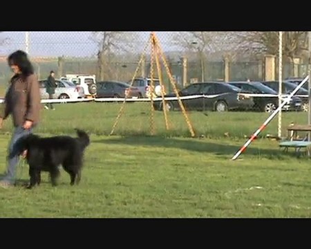 Balkan des Perles Noires - Brevet - Corbas