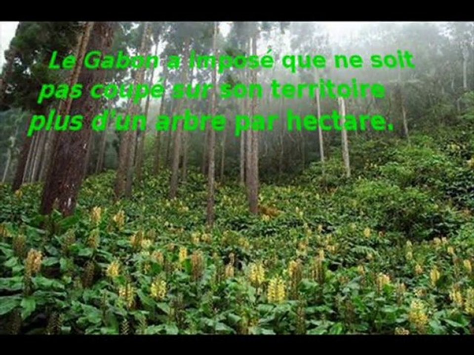 ecologie-nature-hommes