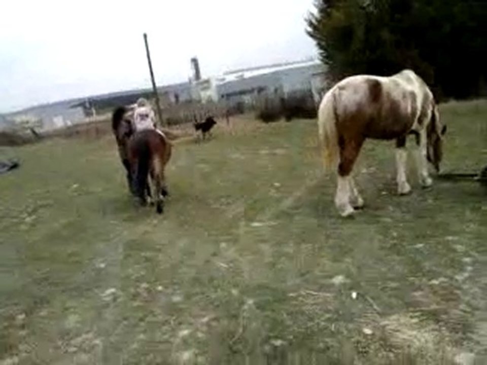 lea qui fait du cheval