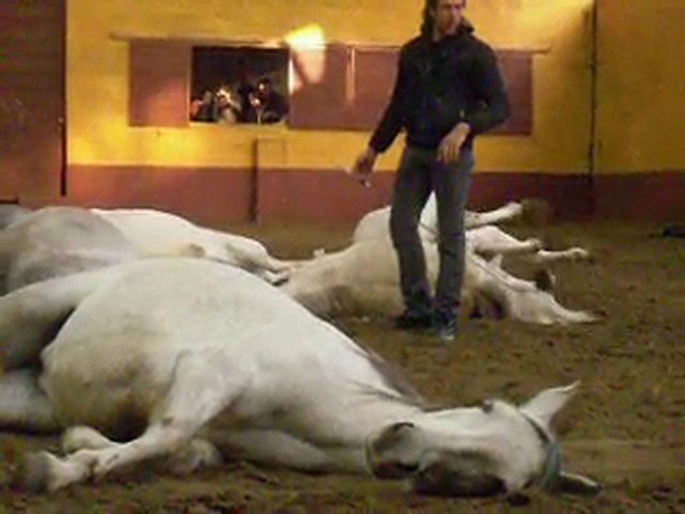 Jean-François Pignon à la parada / avril 2010