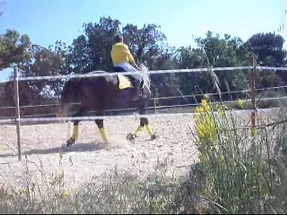 Galatéo LXVII  nous apprenons