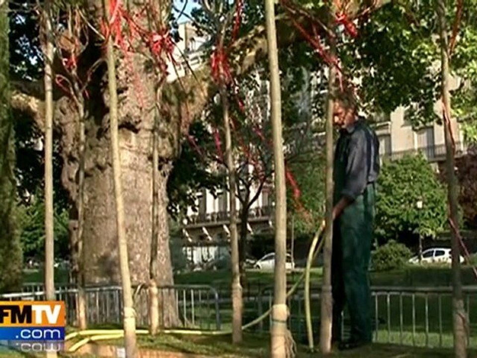 Les Champs-Élysées recouverts de verdure