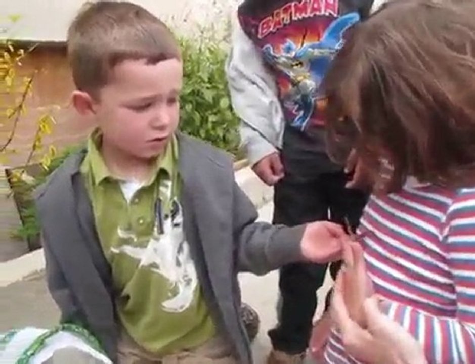 le lacher de papillons