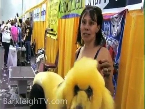 San diego dog groomers Groom Your Pet Always Keeping Them F